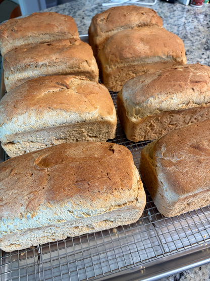 Fresh Baked Bread
