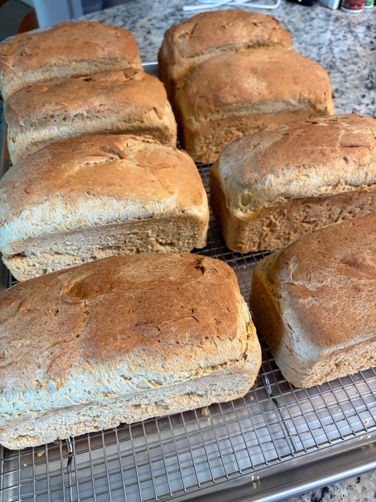 Sandwich Bread (next bake day July 3)